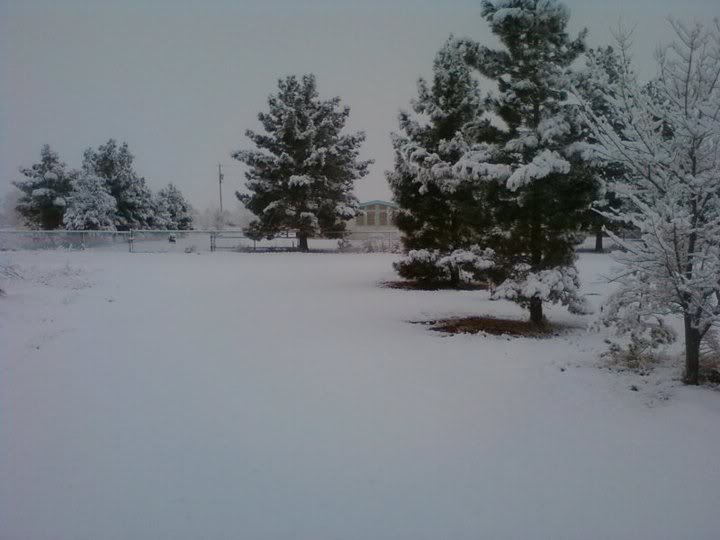 2011snow2.jpg